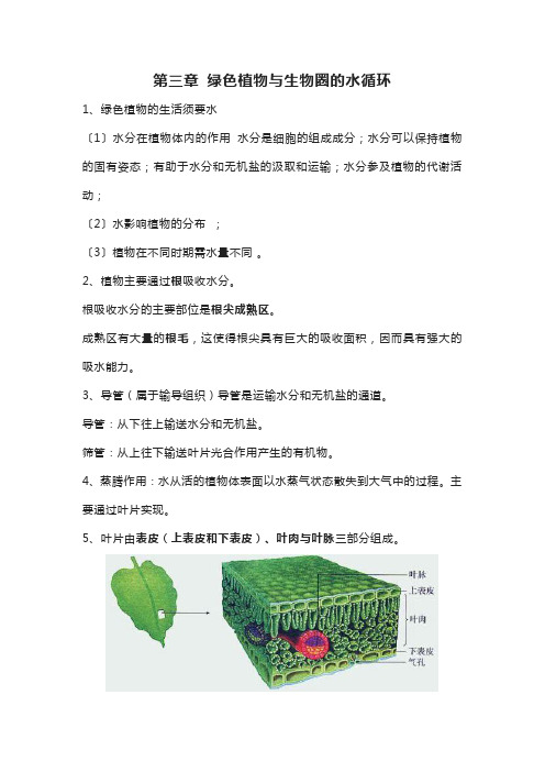 2022年七上生物第三单元第三章【绿色植物与生物圈的水循环】重要知识点