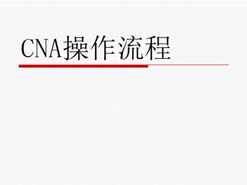 CNA操作流程(PPT45页)