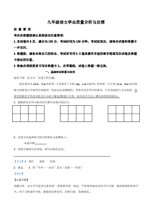 精品解析:江苏省启东市2017届九年级中考模拟语文试题(解析版)