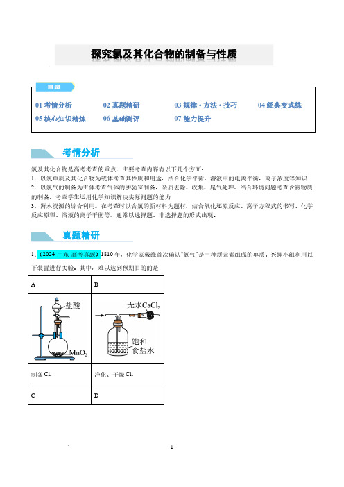 探究氯及其化合物的制备与性质(解析版)-高中化学