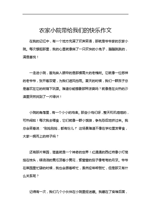 农家小院带给我们的快乐作文