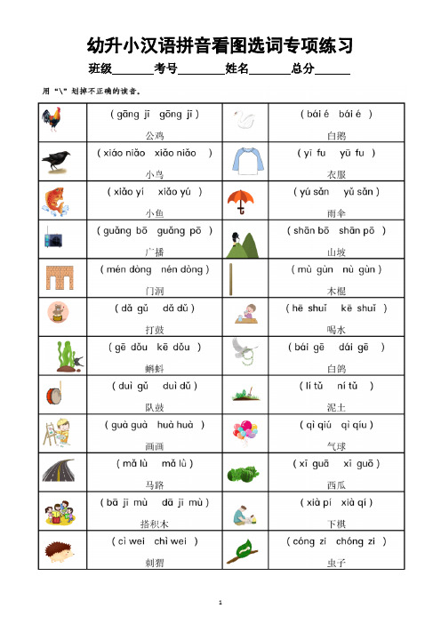 幼儿园幼升小(一年级上册)语文《汉语拼音看图选词》专项练习(附参考答案)