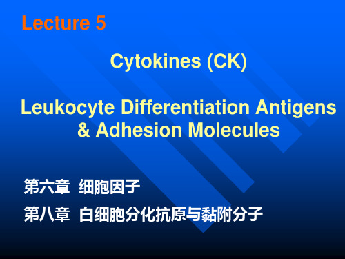 《医学免疫学教学课件》05 ck,cd,am