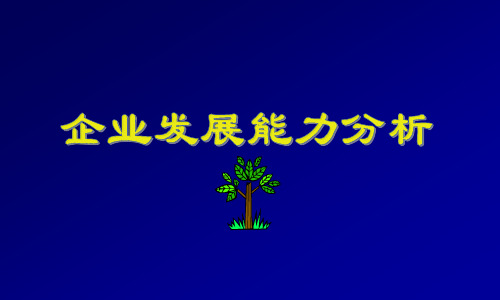 【发展战略】企业发展能力分析(1)