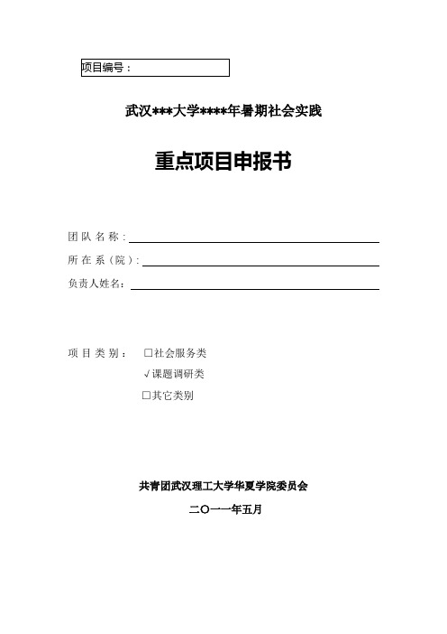 暑期社会实践策划书  项目申报书  模板