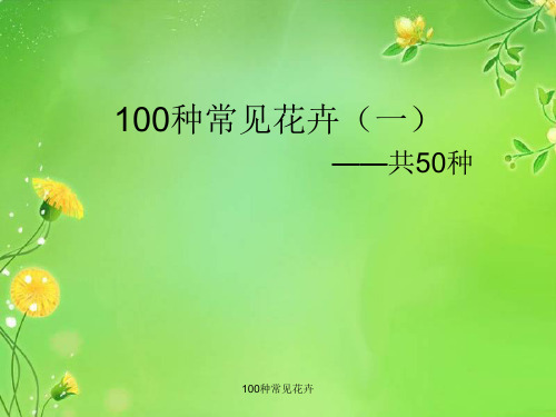 最新100种常见花卉