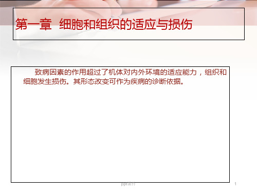 《病理学》细胞和组织的适应与损伤  ppt课件
