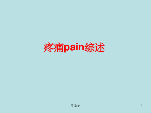 《疼痛pain综述》PPT课件