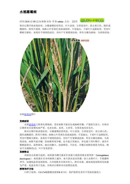 水稻病害