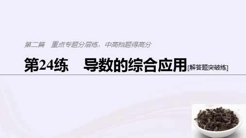 (浙江专用)2021高考数学二轮复习精准提分第二篇重点专题分层练,中高档题得高分第24练导数的综合应