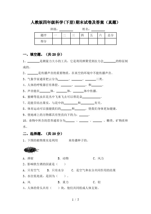 人教版四年级科学(下册)期末试卷及答案(真题)