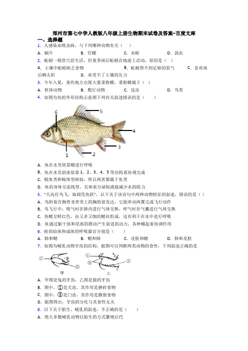 郑州市第七中学人教版八年级上册生物期末试卷及答案-百度文库