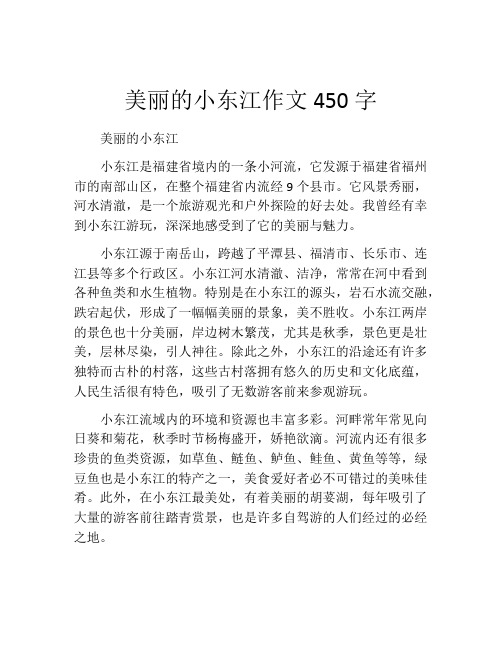 美丽的小东江作文450字 (2)