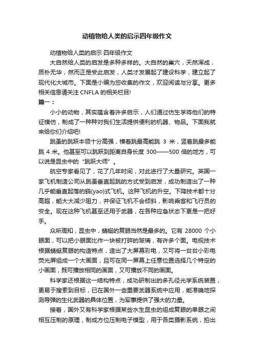 动植物给人类的启示四年级作文