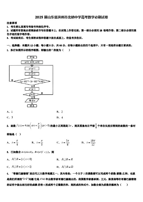 2025届山东省滨州市北镇中学高考数学必刷试卷含解析