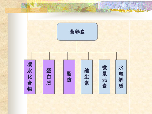 临床营养支持治疗-PPT课件