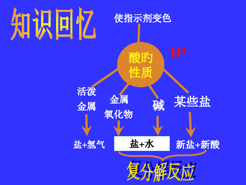 氢氧化钠的性质