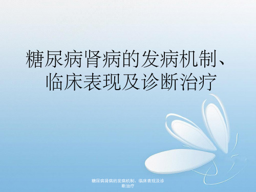 糖尿病肾病的发病机制、临床表现及诊断治疗