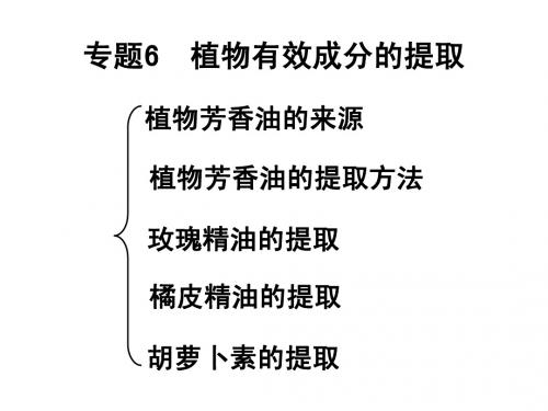 【选修一】6.1植物有效成分的提取