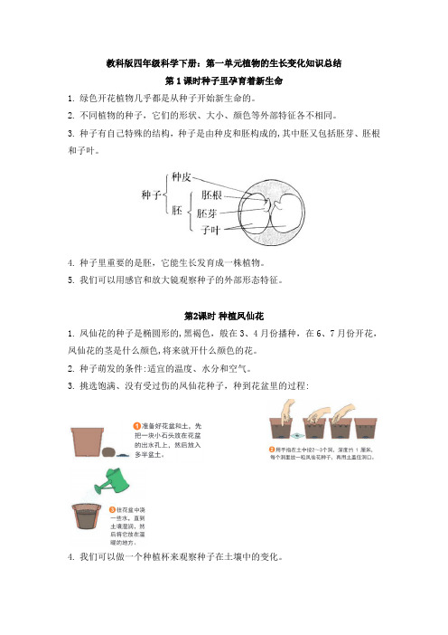 教科版四年级科学下册：第一单元植物的生长变化知识总结1