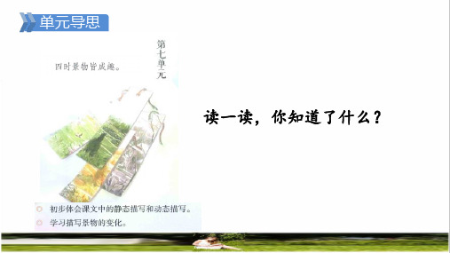 部编版五年级语文上册第七单元第21课《古诗词三首》上课课件