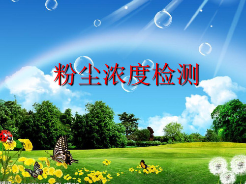 粉尘检测重点共45页文档