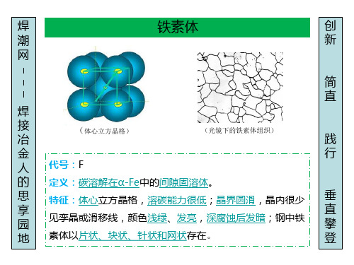 铁素体组织.3.