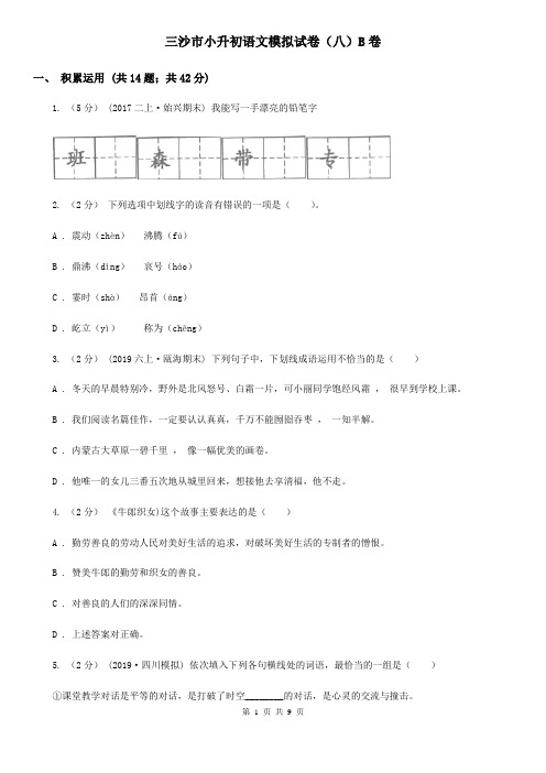 三沙市小升初语文模拟试卷(八)B卷