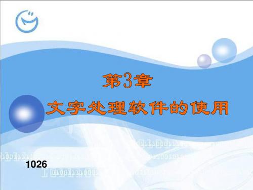 第3章文字处理软件的使用ppt课件-PPT文档资料