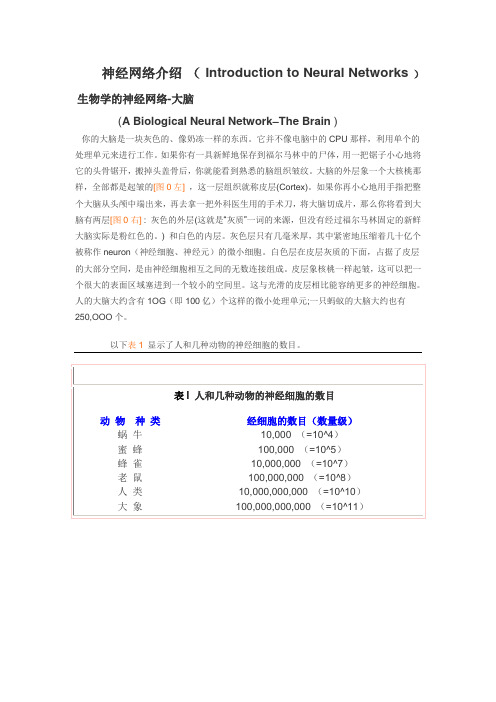 神经网络