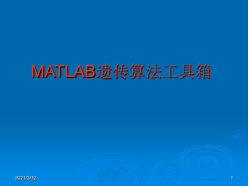 MATLAB遗传算法工具箱PPT课件