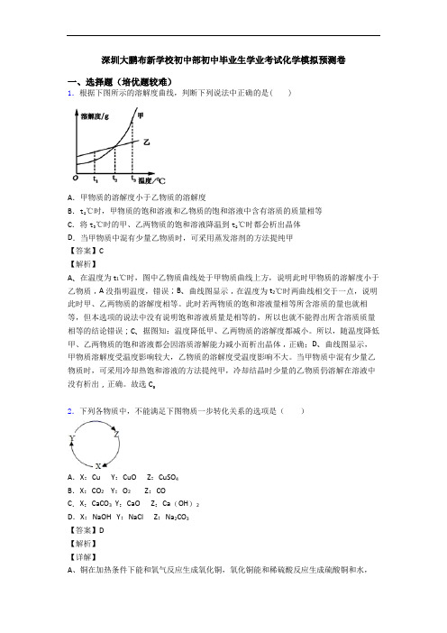 深圳大鹏布新学校初中部初中毕业生学业考试化学模拟预测卷