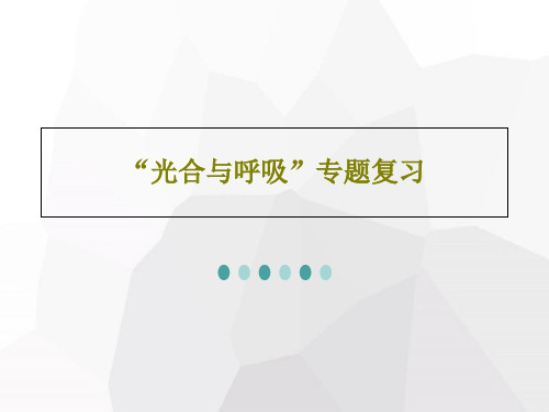 “光合与呼吸”专题复习PPT文档共38页
