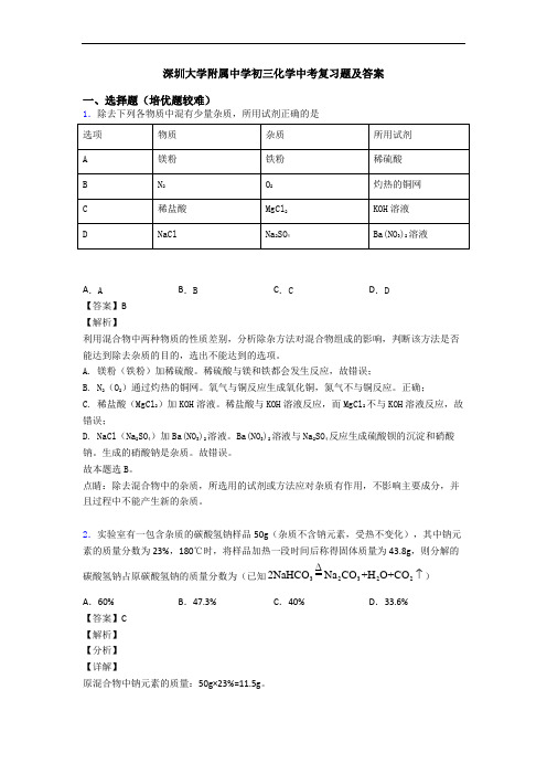 深圳大学附属中学初三化学中考复习题及答案