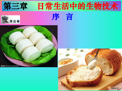 发酵食品的制作