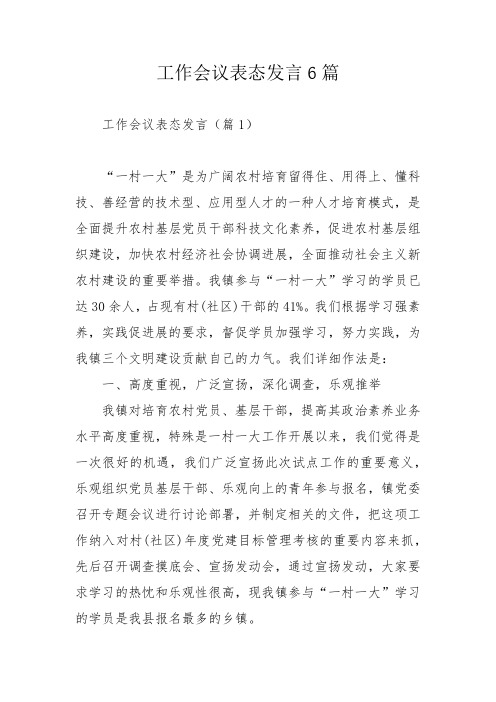 工作会议表态发言6篇