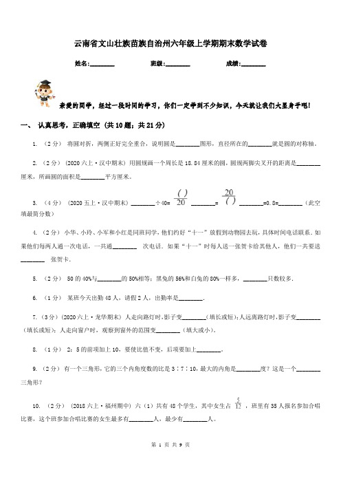 云南省文山壮族苗族自治州六年级上学期期末数学试卷