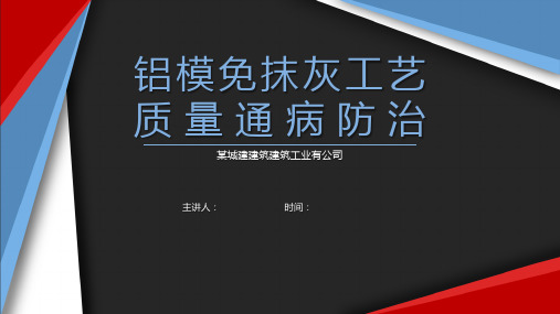 铝模免抹灰工艺质量通病防治