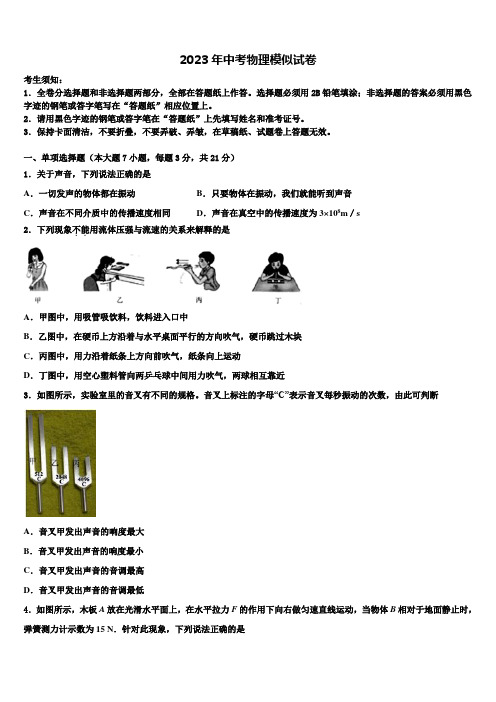 广西自治区南宁市邕宁区2023年中考物理仿真试卷含解析