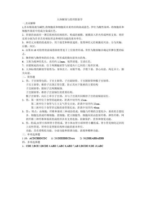 人体解剖与组织胚胎学