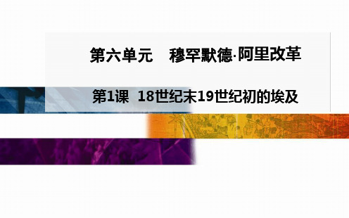 人教版高中历史选修1历史上重大改革回眸6 118世纪末19世纪初的埃及课件1