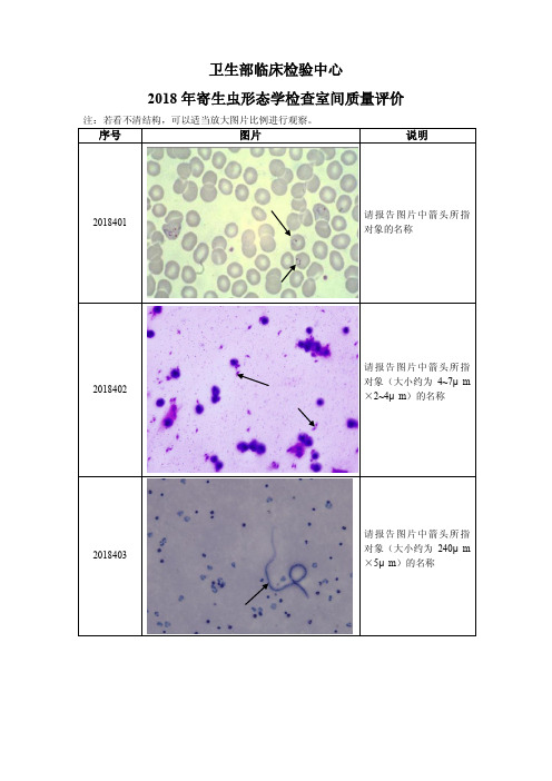 2018年寄生虫形态学检查室间质量评价