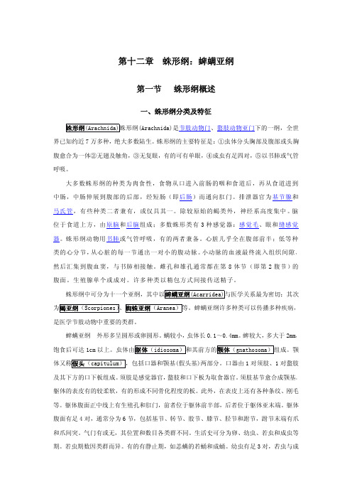蛛形纲蜱螨亚纲