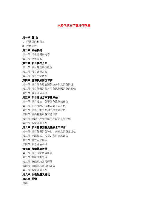 天然气项目节能评估报告