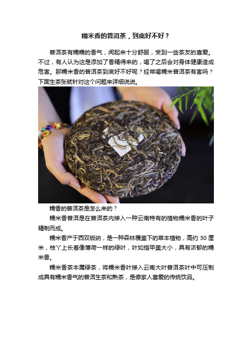 糯米香的普洱茶，到底好不好？