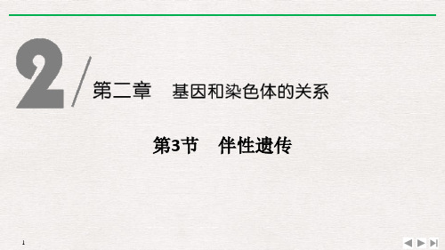 伴性遗传基因和染色体的关系PPT公开课课件