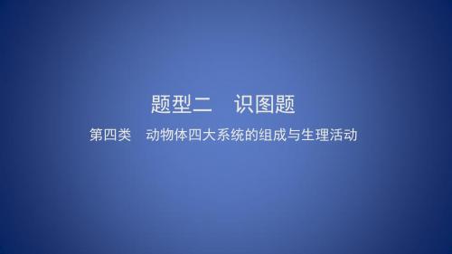 中考生物总复习 第二部分 重点题型探究 题型二 识图题 第四类 动物课件