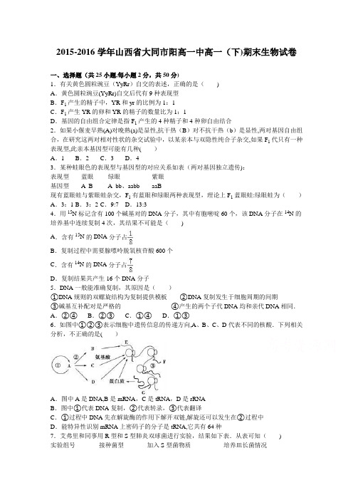 山西省大同市阳高县第一中学2015-2016学年高一下学期期末考试生物试题 含解析