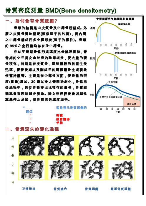 骨质密度测量BMD（BONE