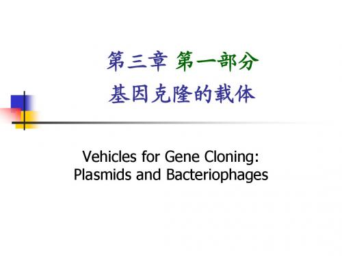 基因工程-3.1载体